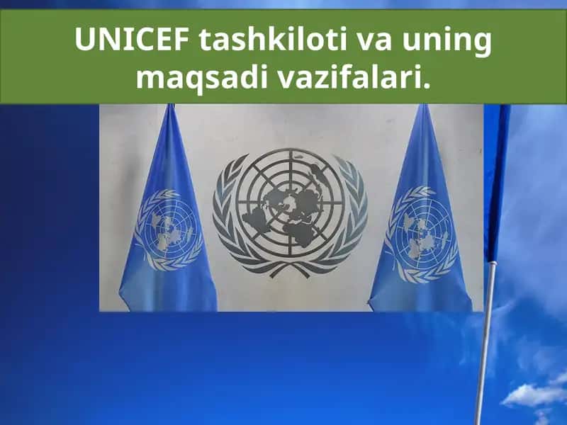 UNICEF tashkiloti va uning maqsad va vazifalari. BMT bolalar huquqi himoyachisi. 1