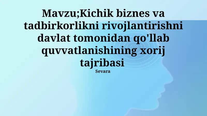 Kichik biznes va tadbirkorlikni rivojlantirishni davlat tomonidan qo'llab quvvatlanishining xorij tajribasi 1