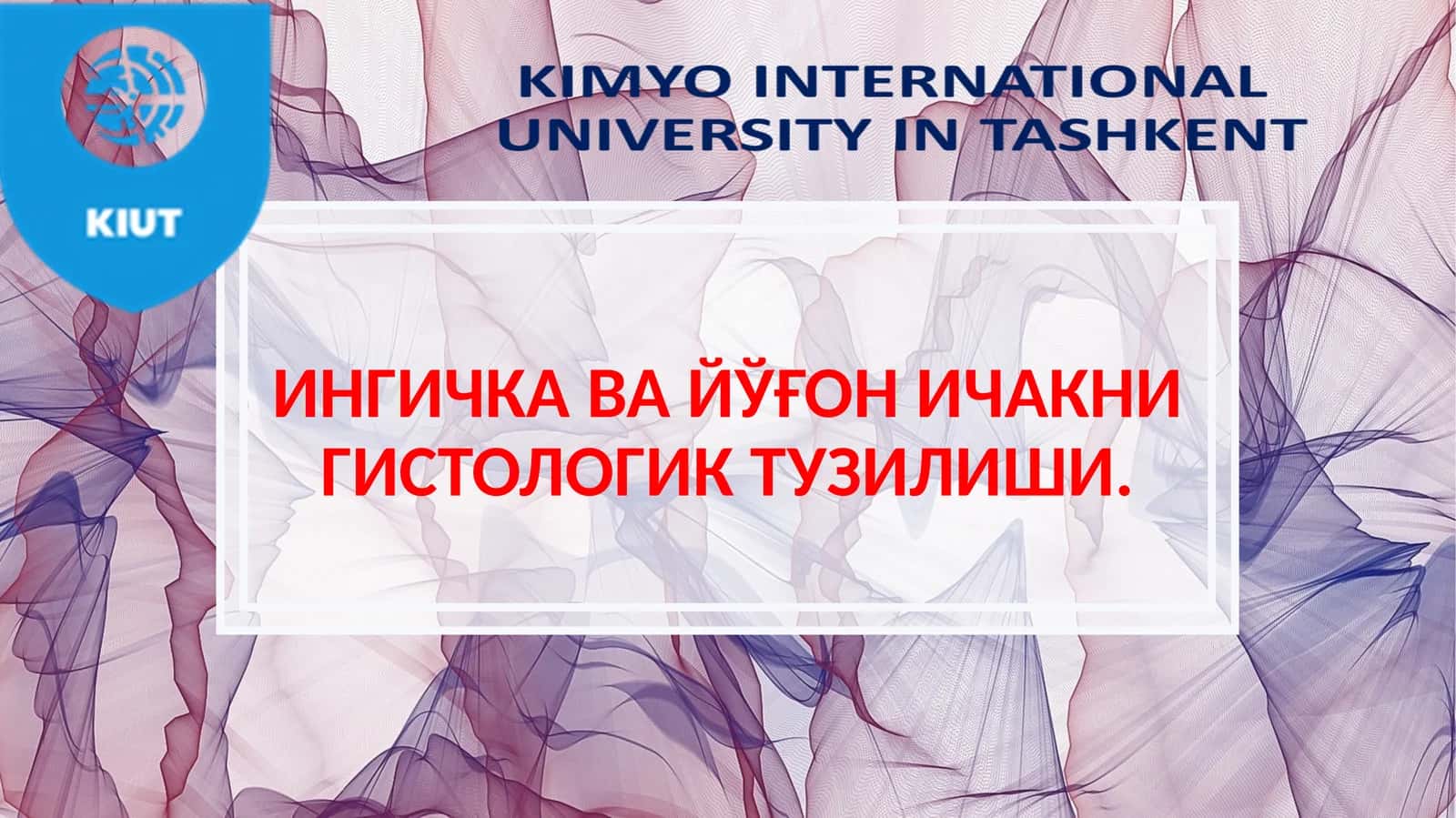 ИНГИЧКА ВА ЙЎҒОН ИЧАКНИ ГИСТОЛОГИК ТУЗИЛИШИ 1