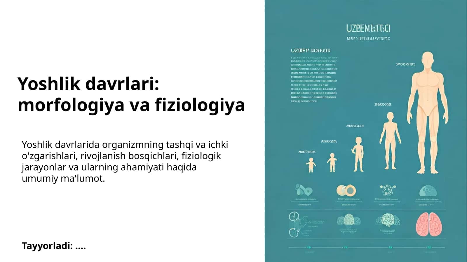 Yoshlik davrlari: morfologiya va fiziologiya 1