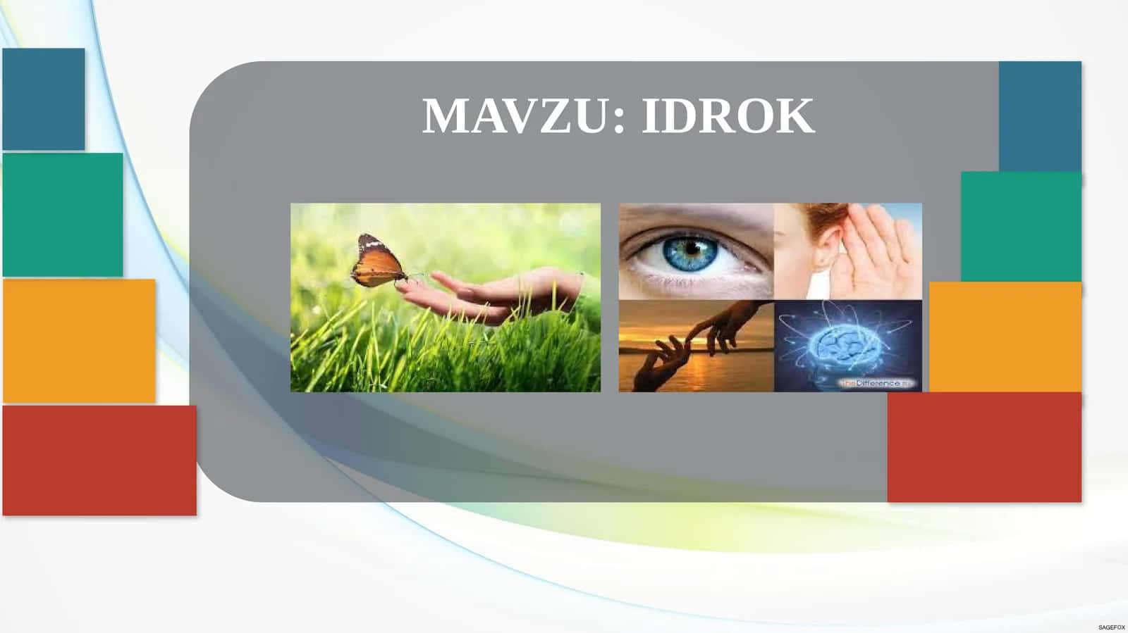 IDROK 1