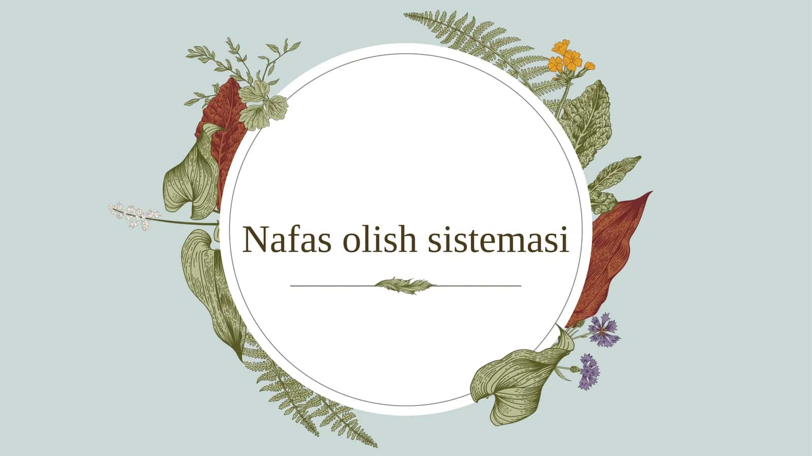 Umurtqalilar nafas olish sistemasi filogenezi 1