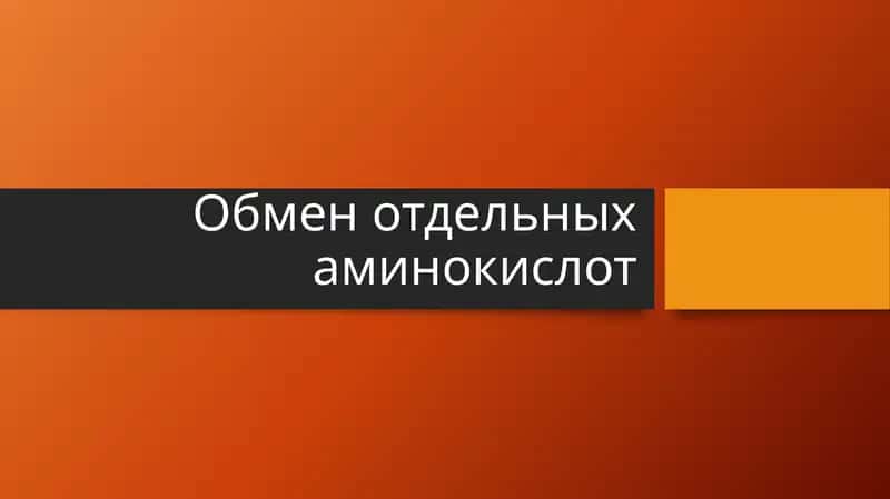 Обмен отдельных аминокислот 1