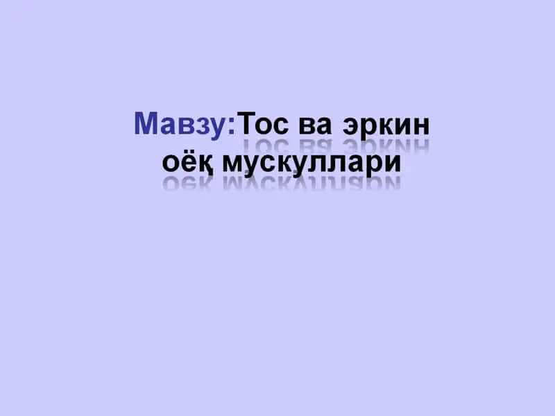 Оёқ камарининг мускуллари 1