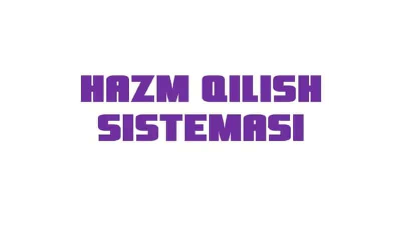 OVQAT HAZIM QILISH ORGANLARI TUZILISHI 1