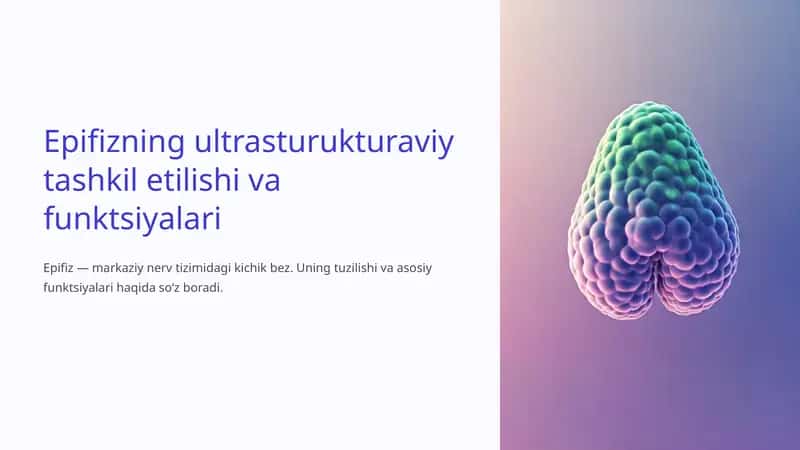 Epifizning ultrasturukturaviy tashkil etilishi va funktsiyalari. 1
