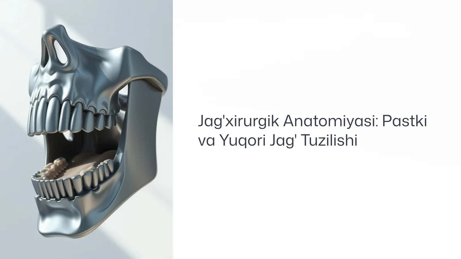 Jag'xirurgik Anatomiyasi: Pastki va Yuqori Jag' Tuzilishi 1