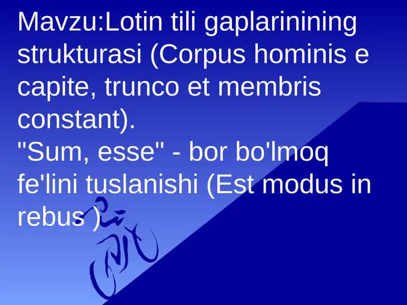 Lotin tili gaplarinining strukturasi 1