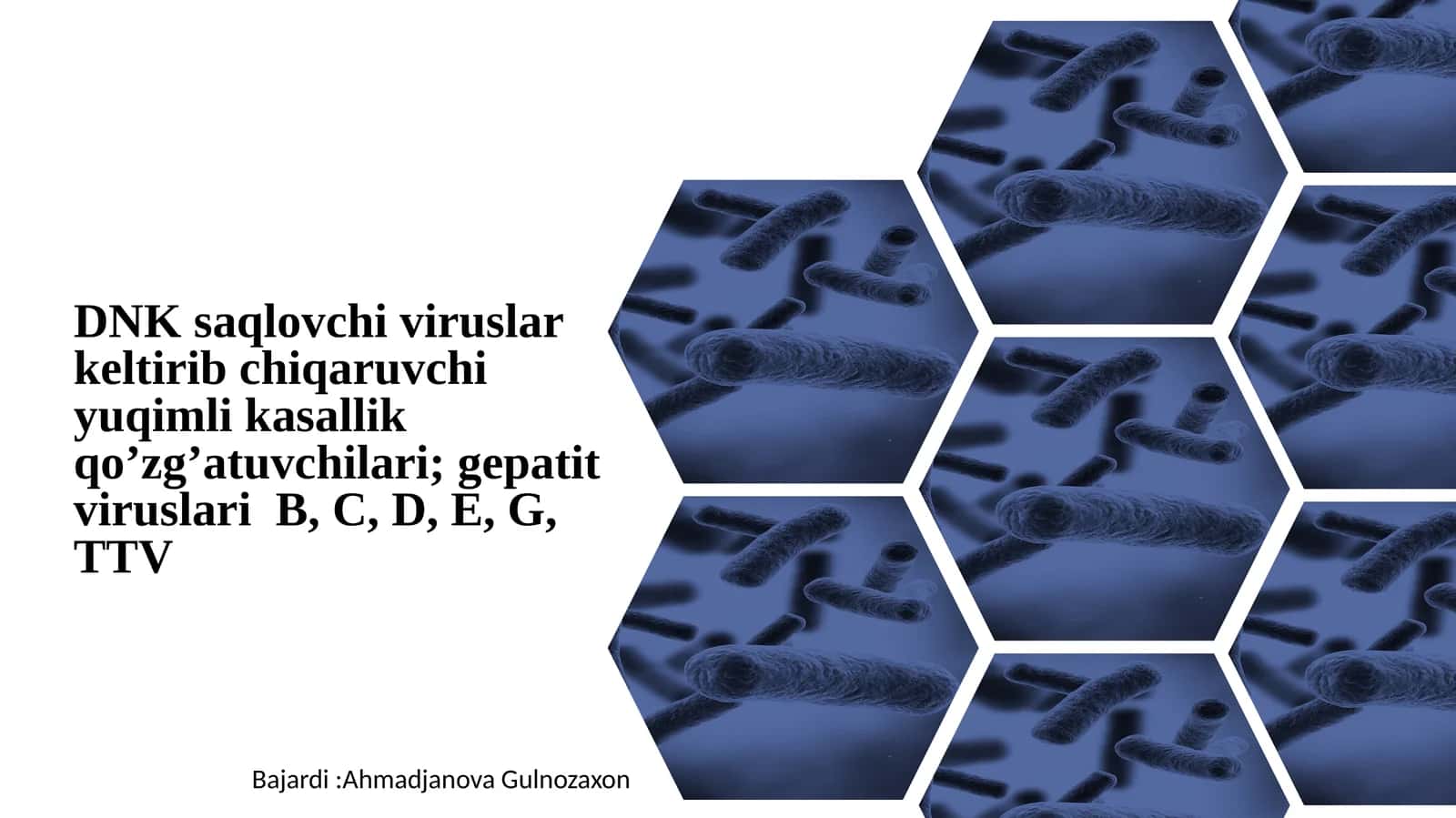 DNK saqlovchi viruslar keltirib chiqaruvchi yuqimli kasallik qo’zg’atuvchilari; gepatit viruslari B, C, D, E, G, TTV 1