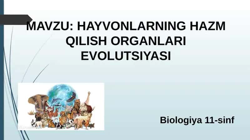 HAYVONLARNING HAZM QILISH ORGANLARI EVOLUTSIYASI 1