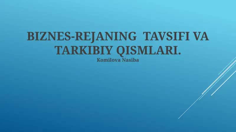 Biznes-rejaning Tavsifi va Tarkibiy Qismlari 1