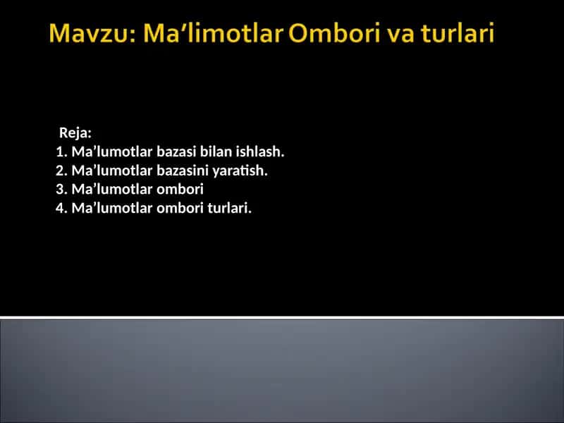 Maʼlumotlar ombori va turlari 1