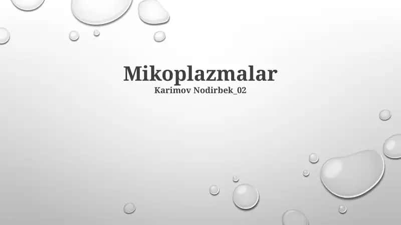 Mikoplazmalar 1
