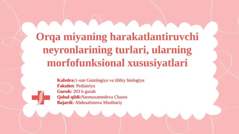 Orqamiyaning harakatlantiruvchi neyronlarining turlari 1
