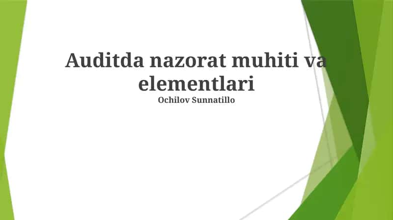 Auditda nazorat muhiti va elementlari 1