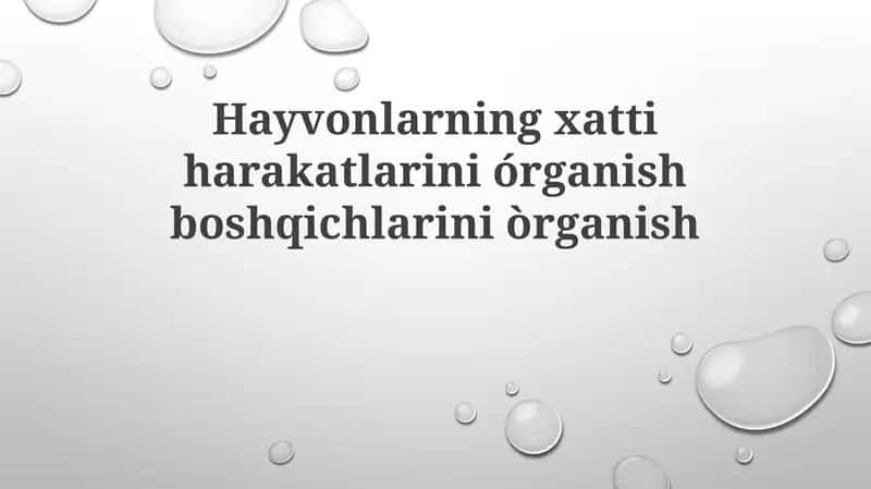 Hayvonlarning xatti-harakatlarini órganish boshqichlarini órganish 1