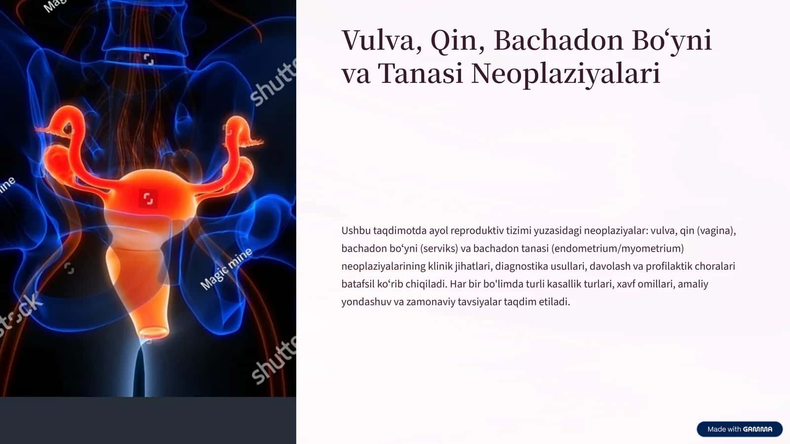 Vulva, Qin, Bachadon Boʻyni va Tanasi Neoplaziyalari 1