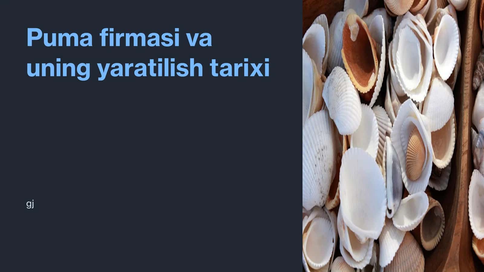 Puma firmasi va uning yaratilish tarixi 1