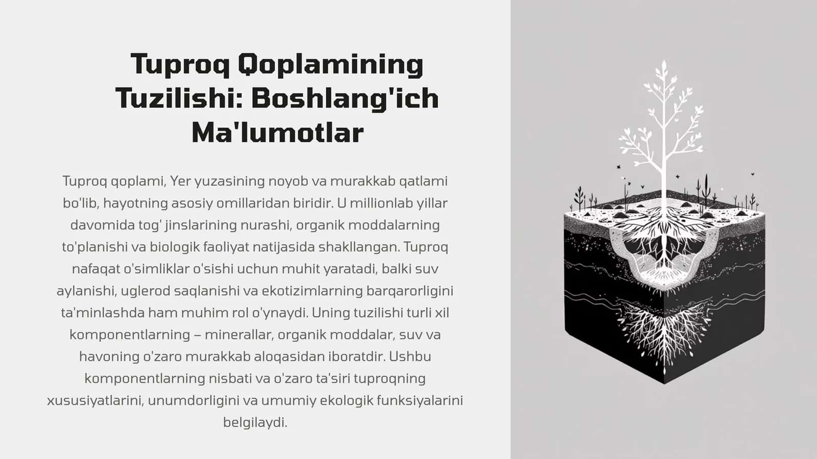 Tuproq Qoplamining Tuzilishi: Boshlang'ich Ma'lumotlar 1