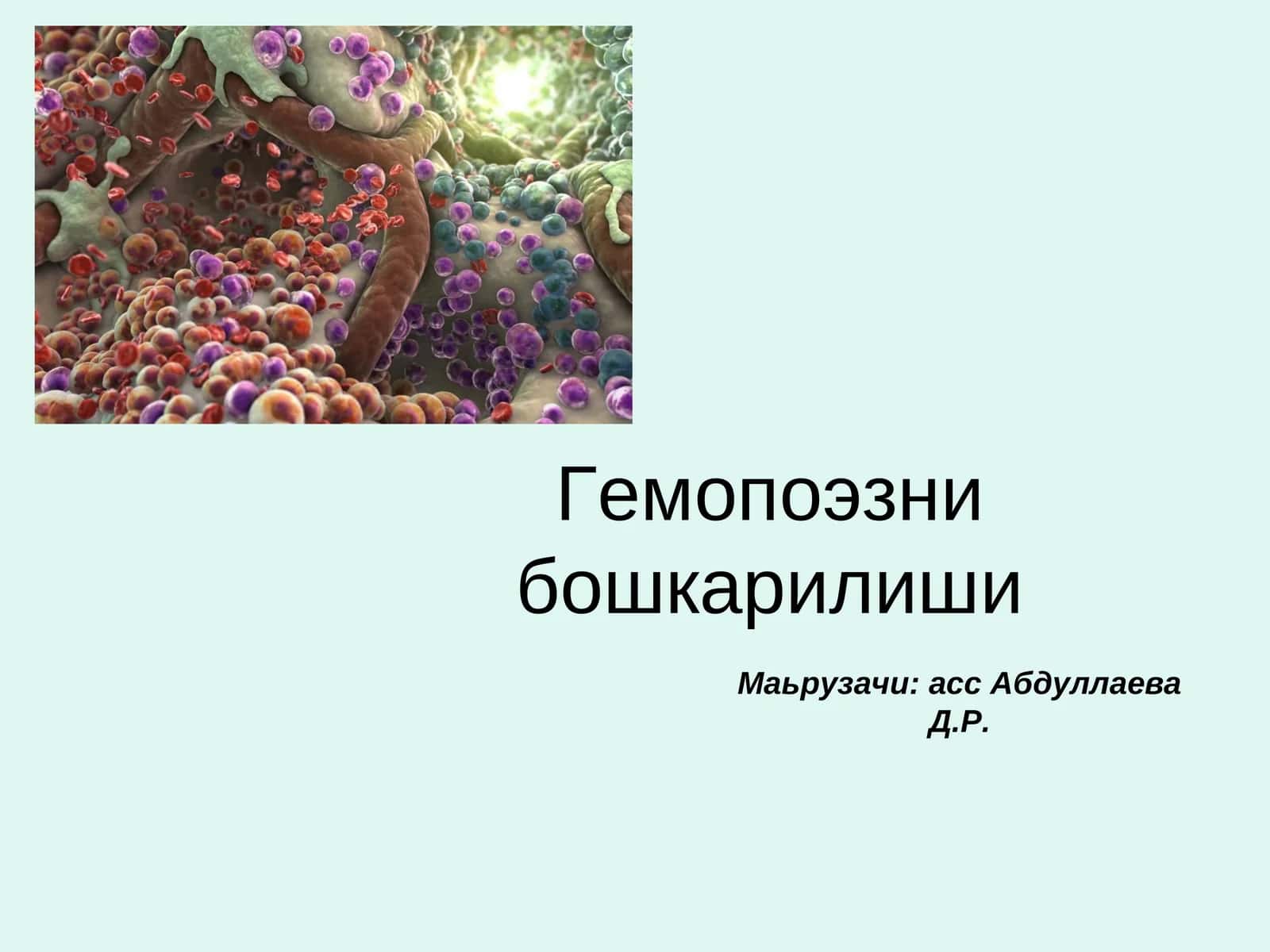 Гемопоэзни бошкарилиши 1