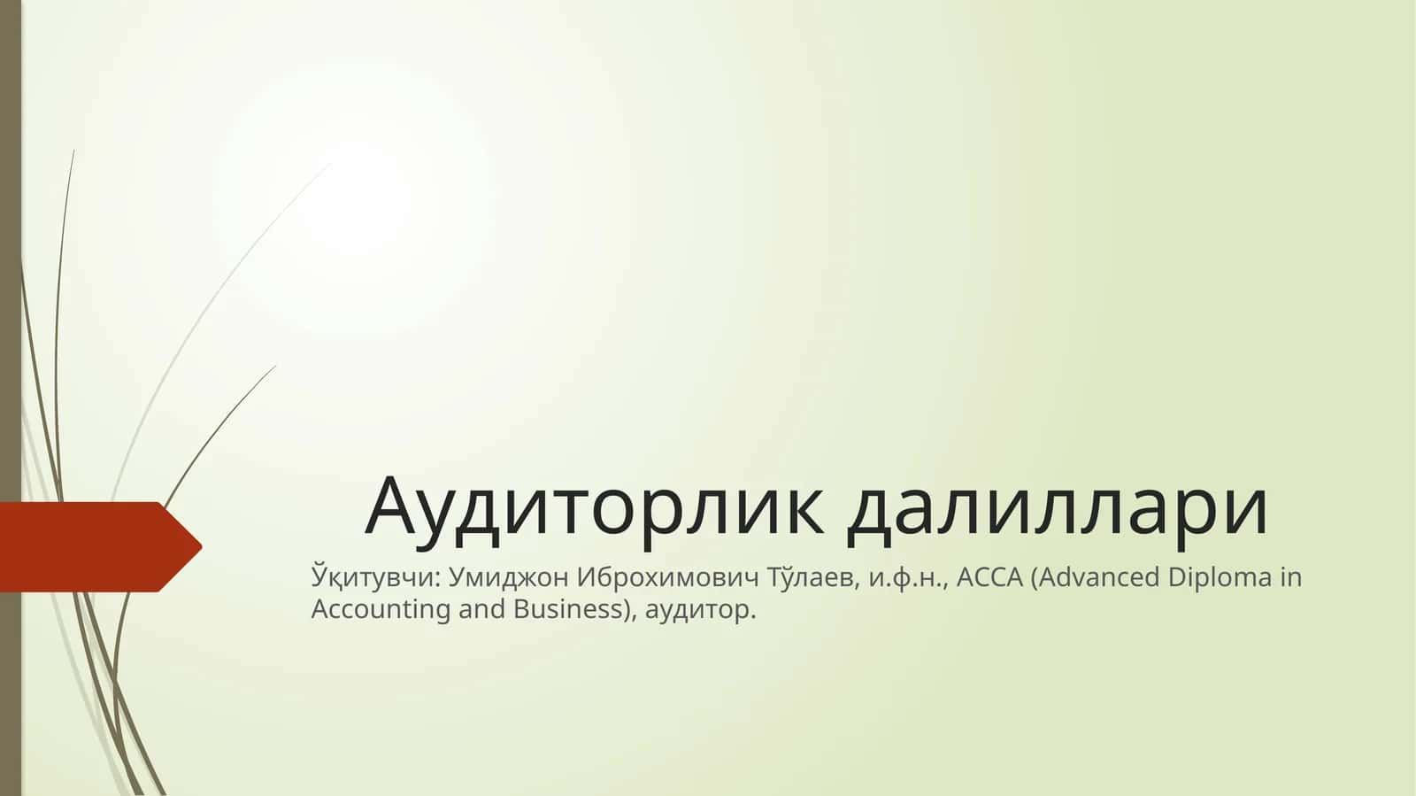 Аудиторликдалиллари 1