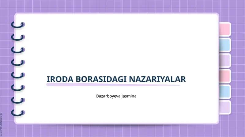 Iroda borasidagi nazariyalar 1