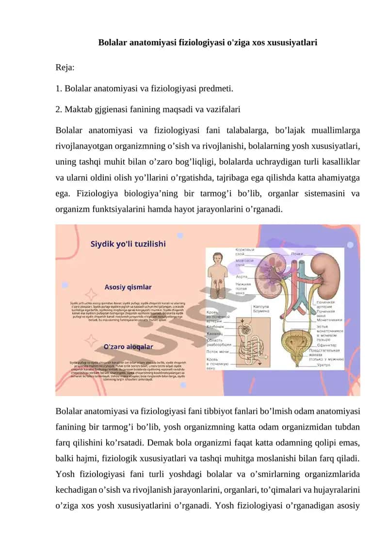 Bolalar anatomiyasi fiziologiyasi o'ziga xos xususiyatlari 1