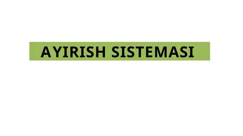 AYIRISH SISTEMASI 1
