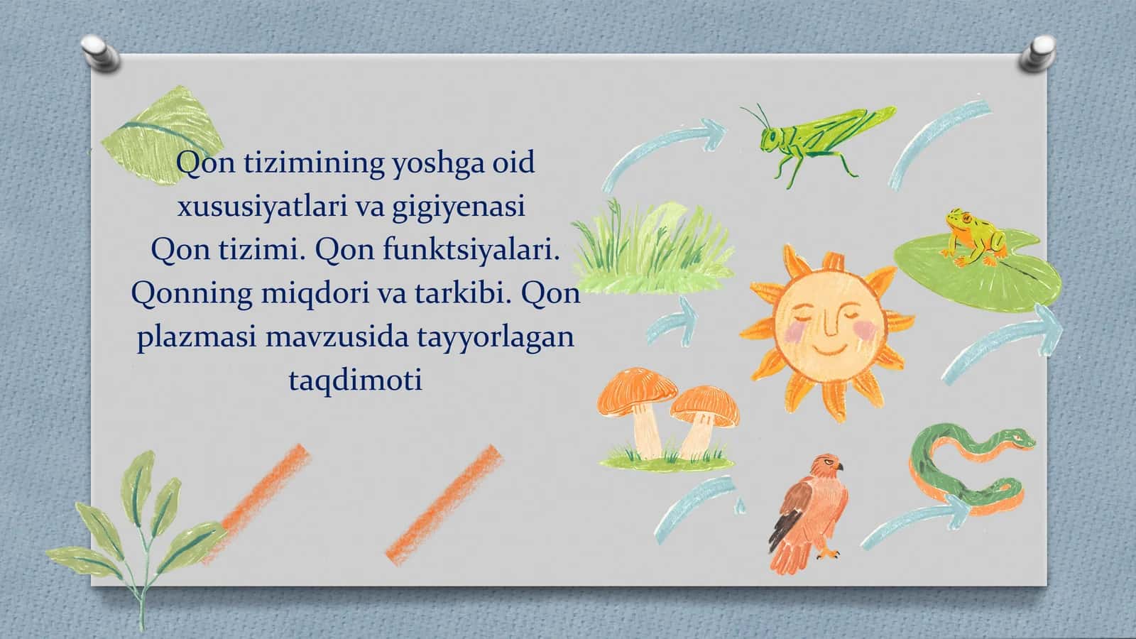 Qontizimiying yoshga oid xususiyatlari va gigiyenasi 1