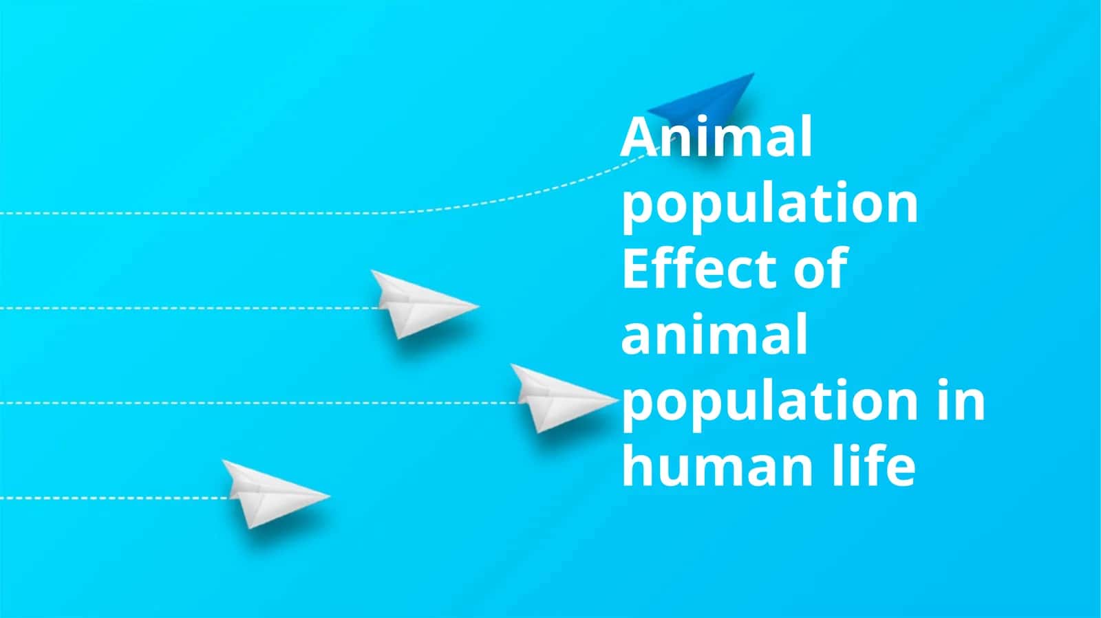 Animal population impacts on human life 1