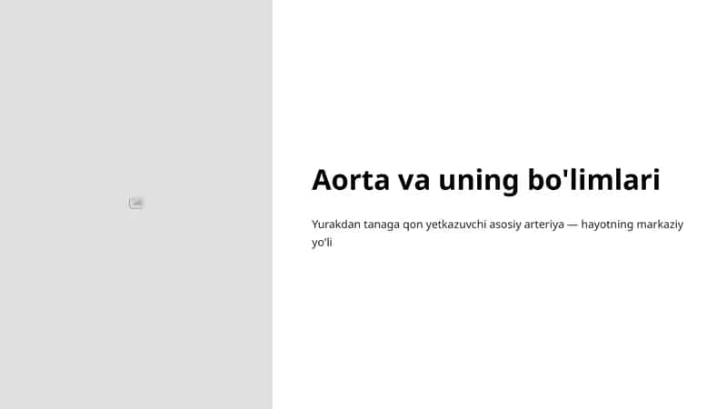 Aorta va uning bo'limlari 1