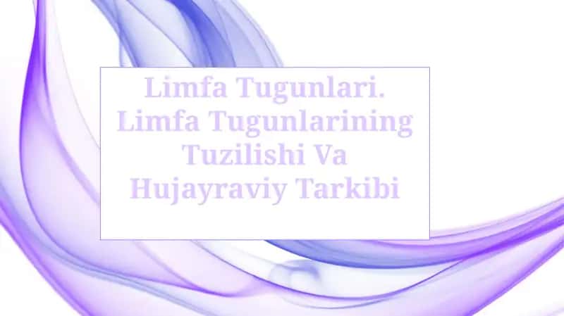 Limfa Tugunlari. Limfa Tugunlarining Tuzilishi Va Hujayraviy Tarkibi 1