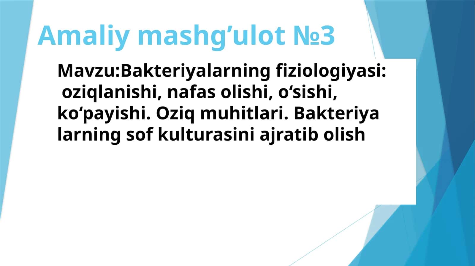 Amaliymashg’ulot№3 1