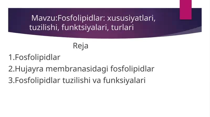 Fosfolipidlar: xususiyatlari, tuzilishi, funktsiyalari, turlari 1