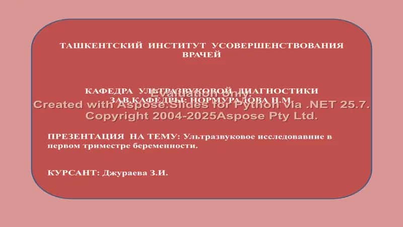 Ультразвуковое исследование в первом триместре беременности 1