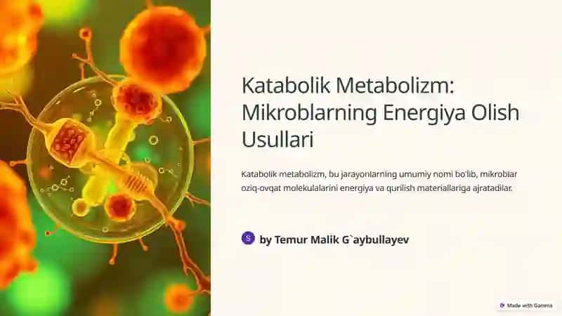Katabolik Metabolizm: Mikroblarning Energiya Olish Usullari