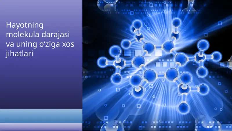 Hayotning molekula darajasi va uning o‘ziga xos jihatlari 1