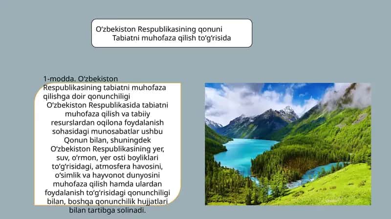 Oʻzbekiston Respublikasining qonuni Tabiatni muhofaza qilish toʻgʻrisida 1