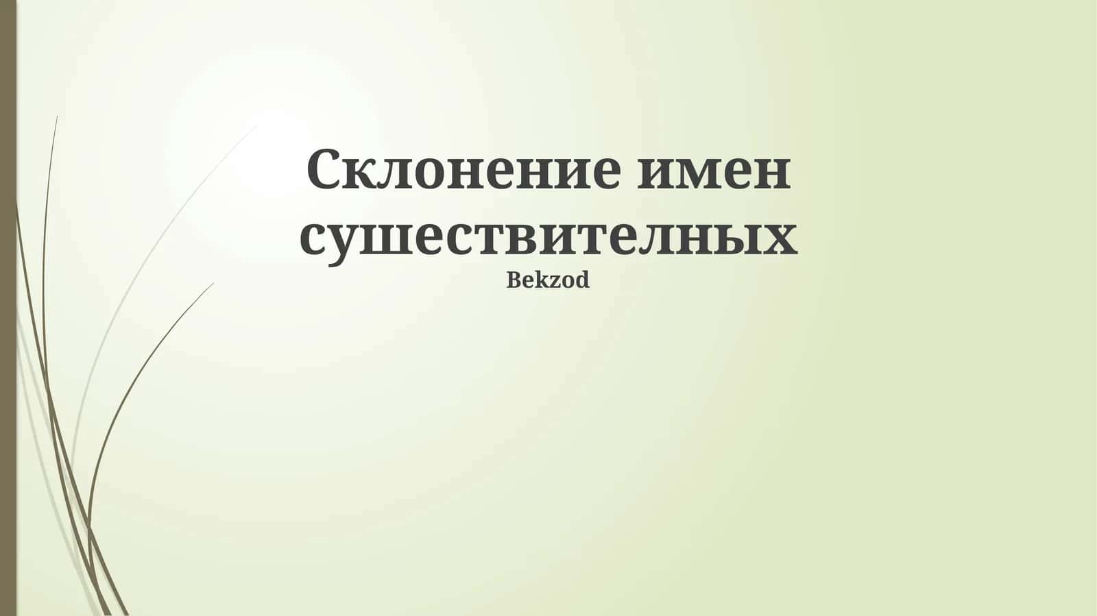 Склонение имен сушествителных 1