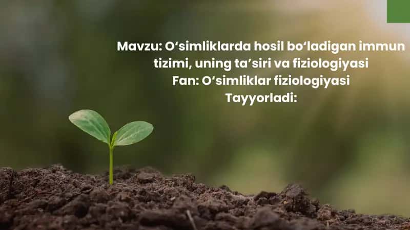 O‘simliklarda hosil bo‘ladigan immun tizimi, uning ta’siri va fiziologiyasi 1