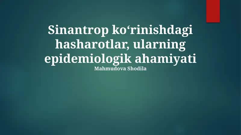 Sinantropik Hashamatlar: Ta'rif va Tarqalish 1