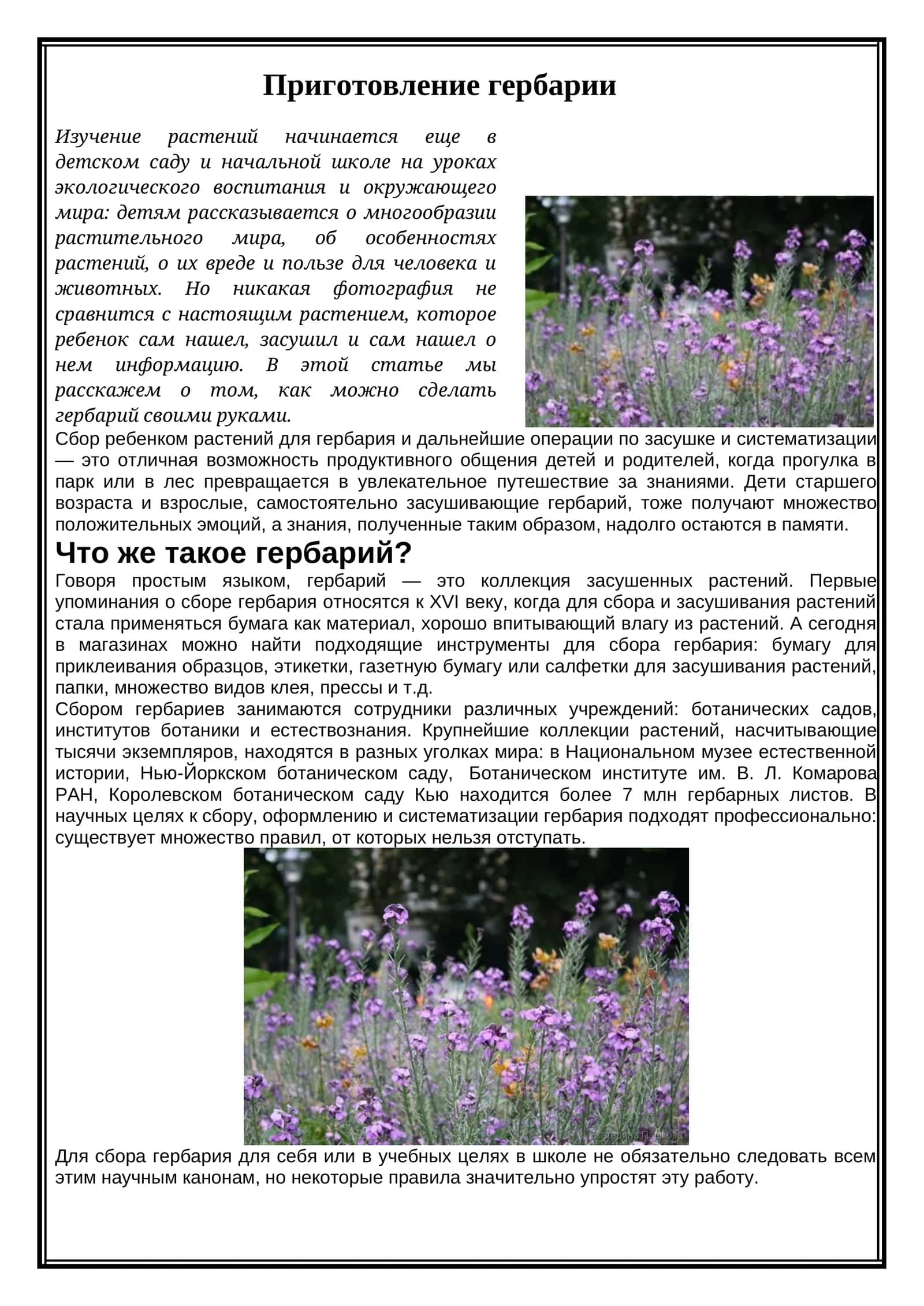 Приготовление гербарии 1