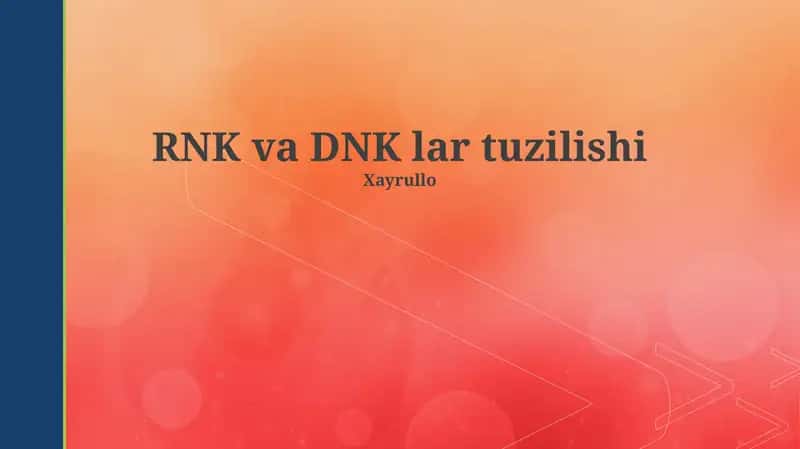 RNK va DNK lar tuzilishi 1