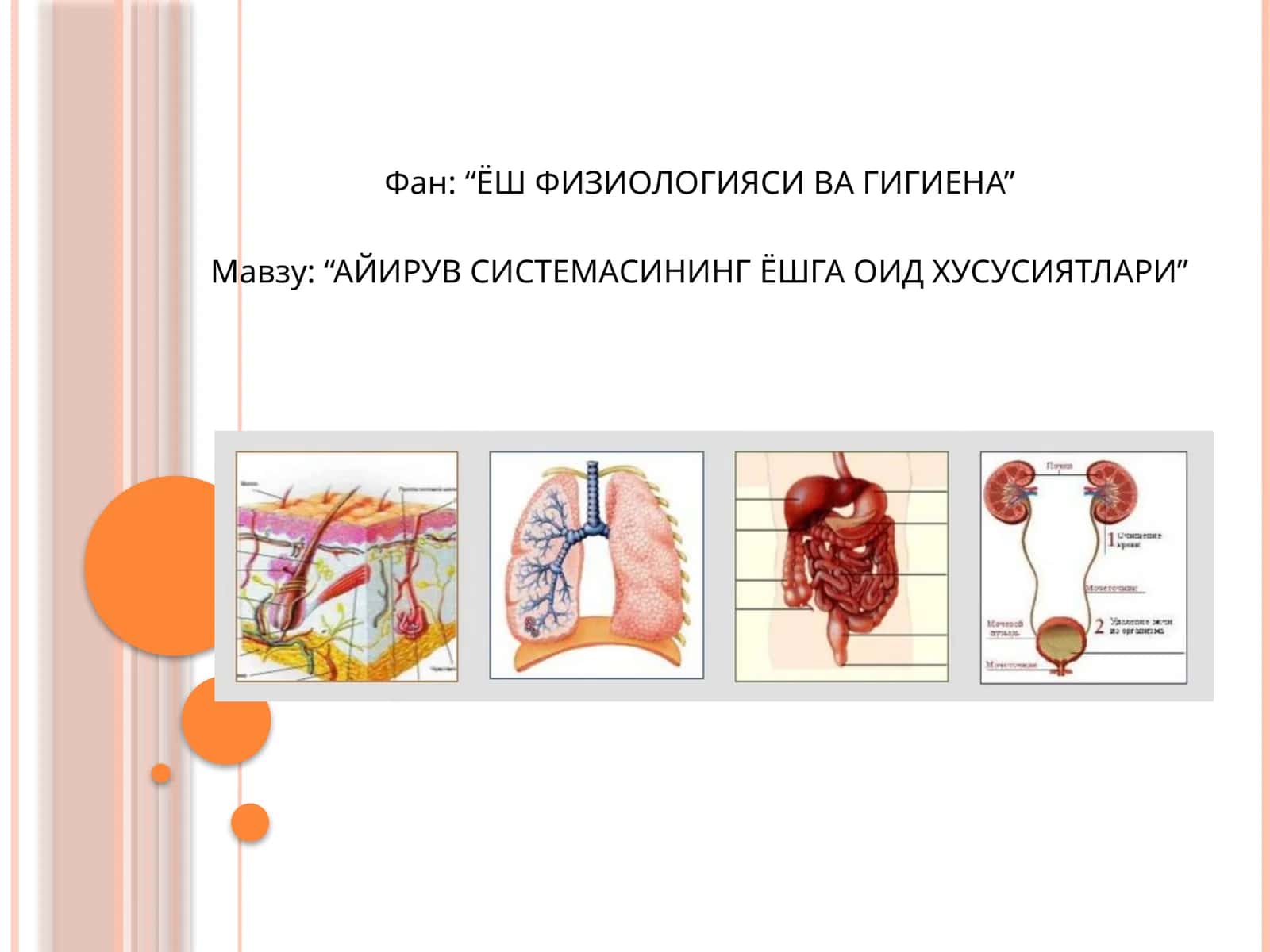AЙИРУВ -метаболизмнингбирқисмибўлиб 1