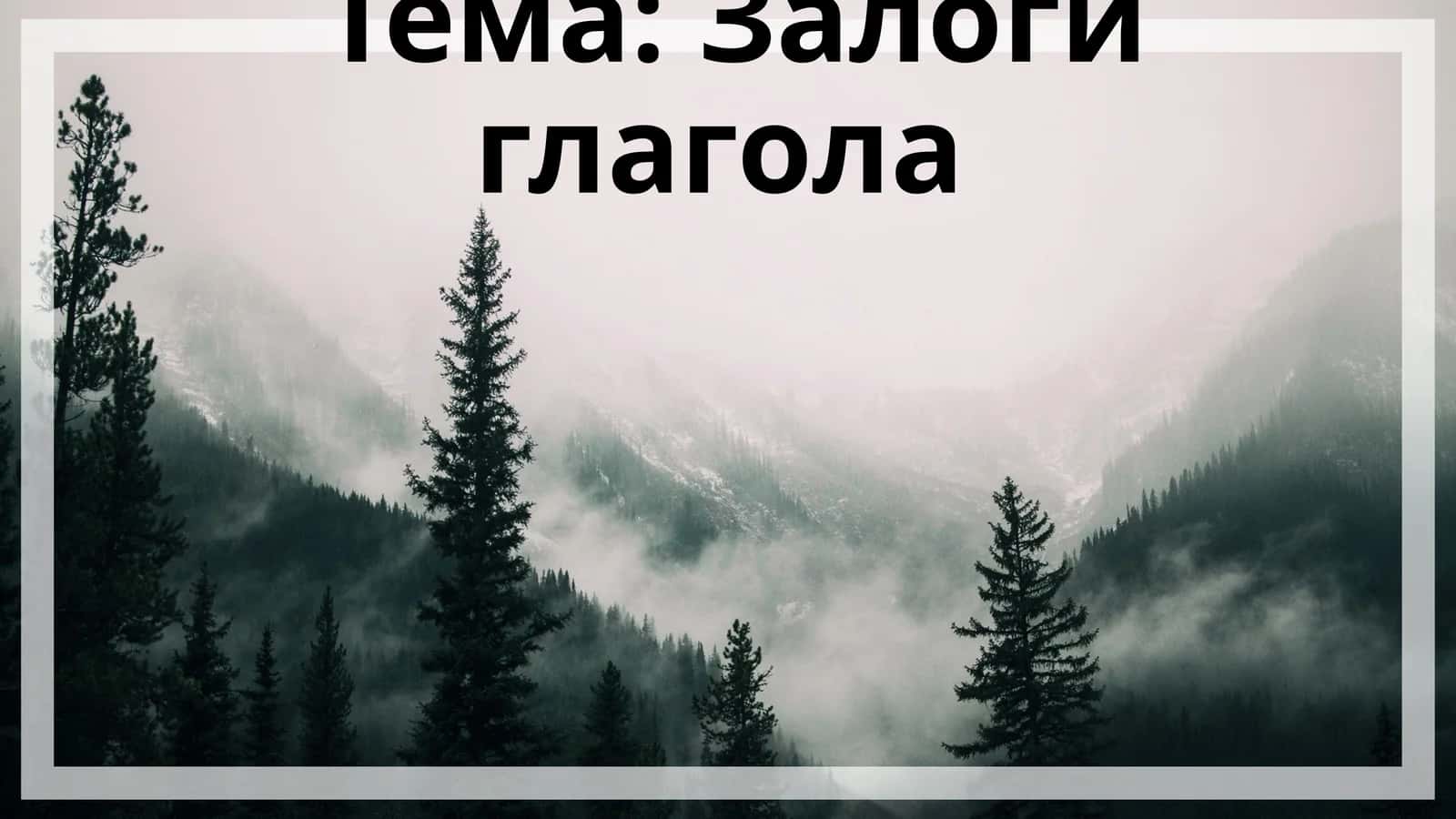 Залоги глагола 1