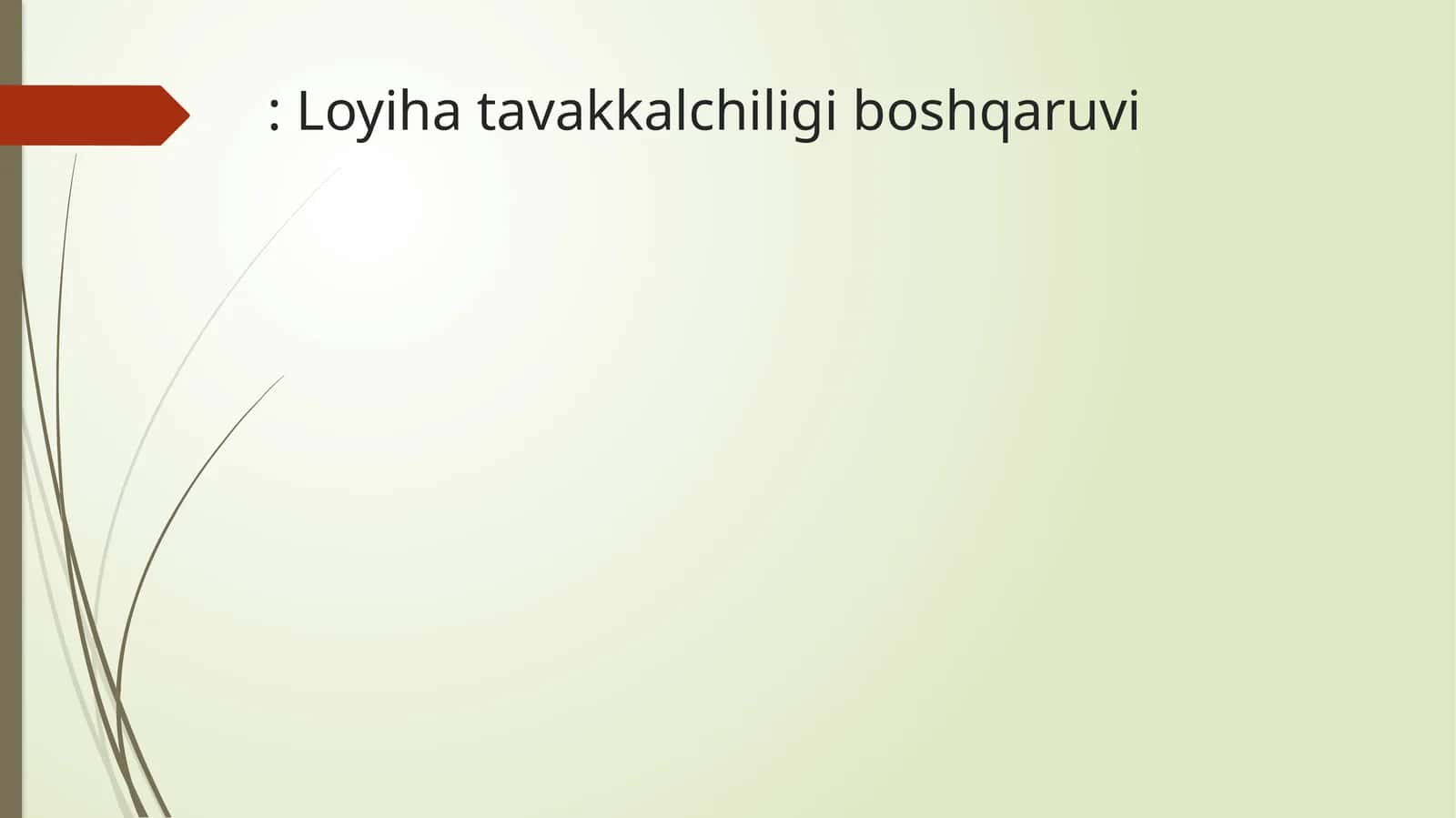 Loyiha tavakkalchiligi boshqaruvi 1