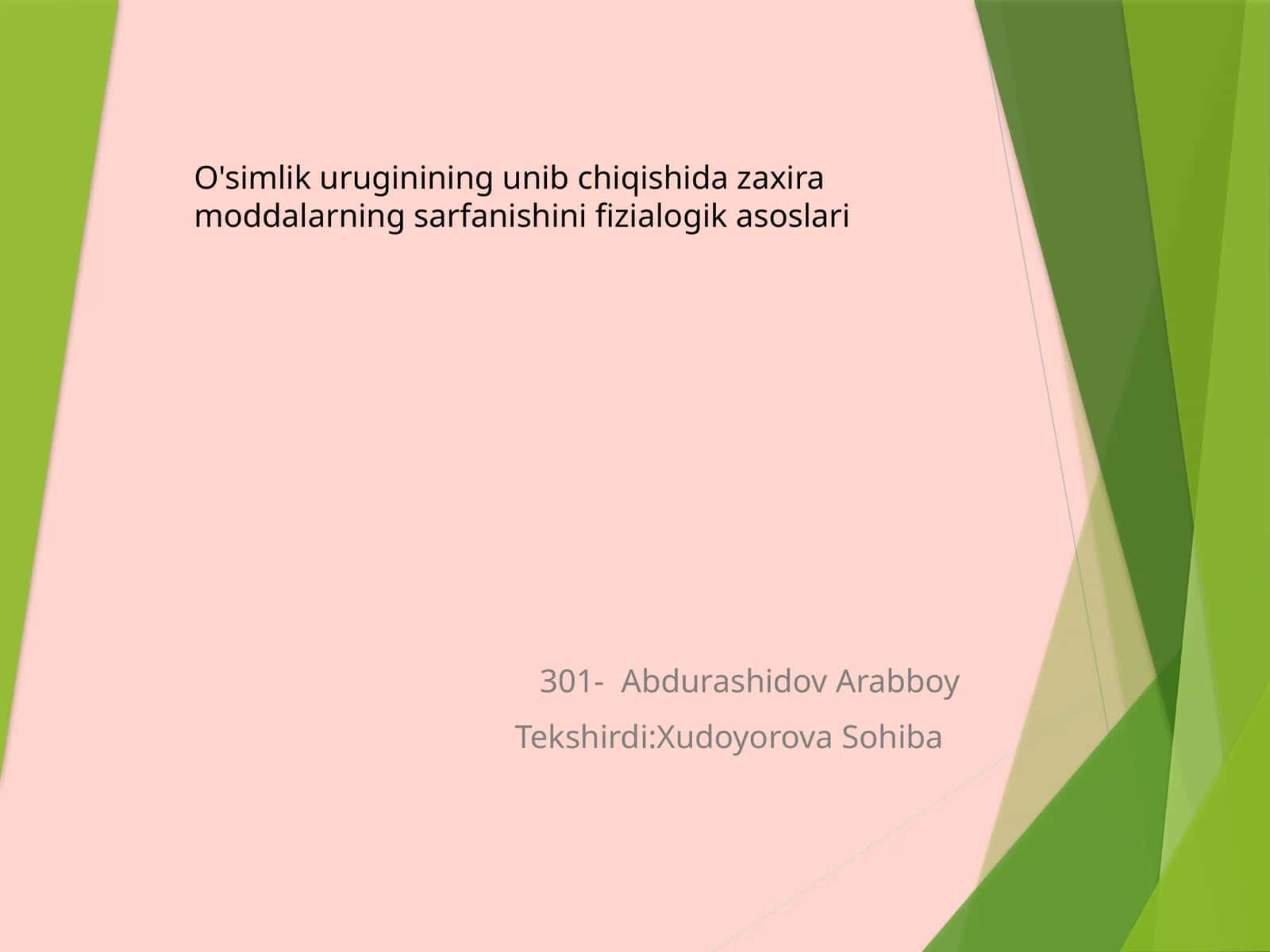Abdurashidov Arabboy 1