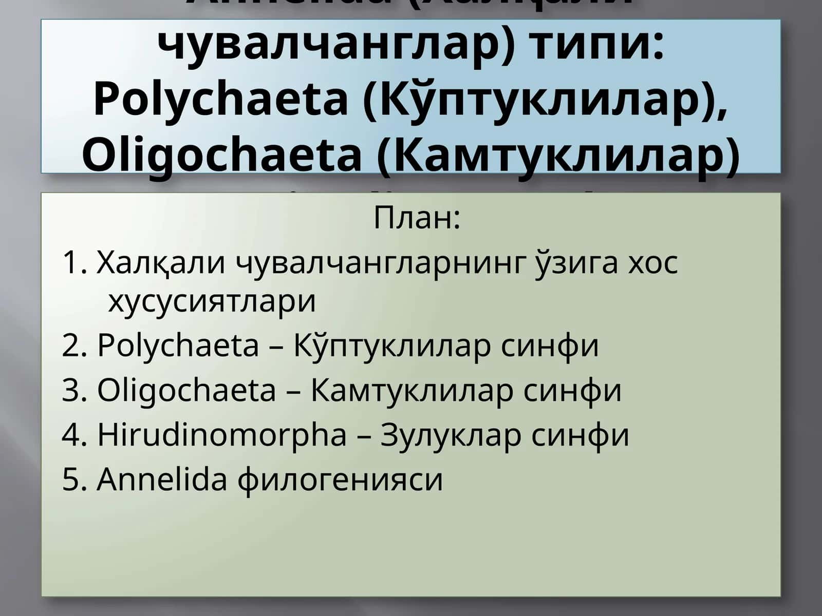 Annelida (Халқали чувалчанглар) 1