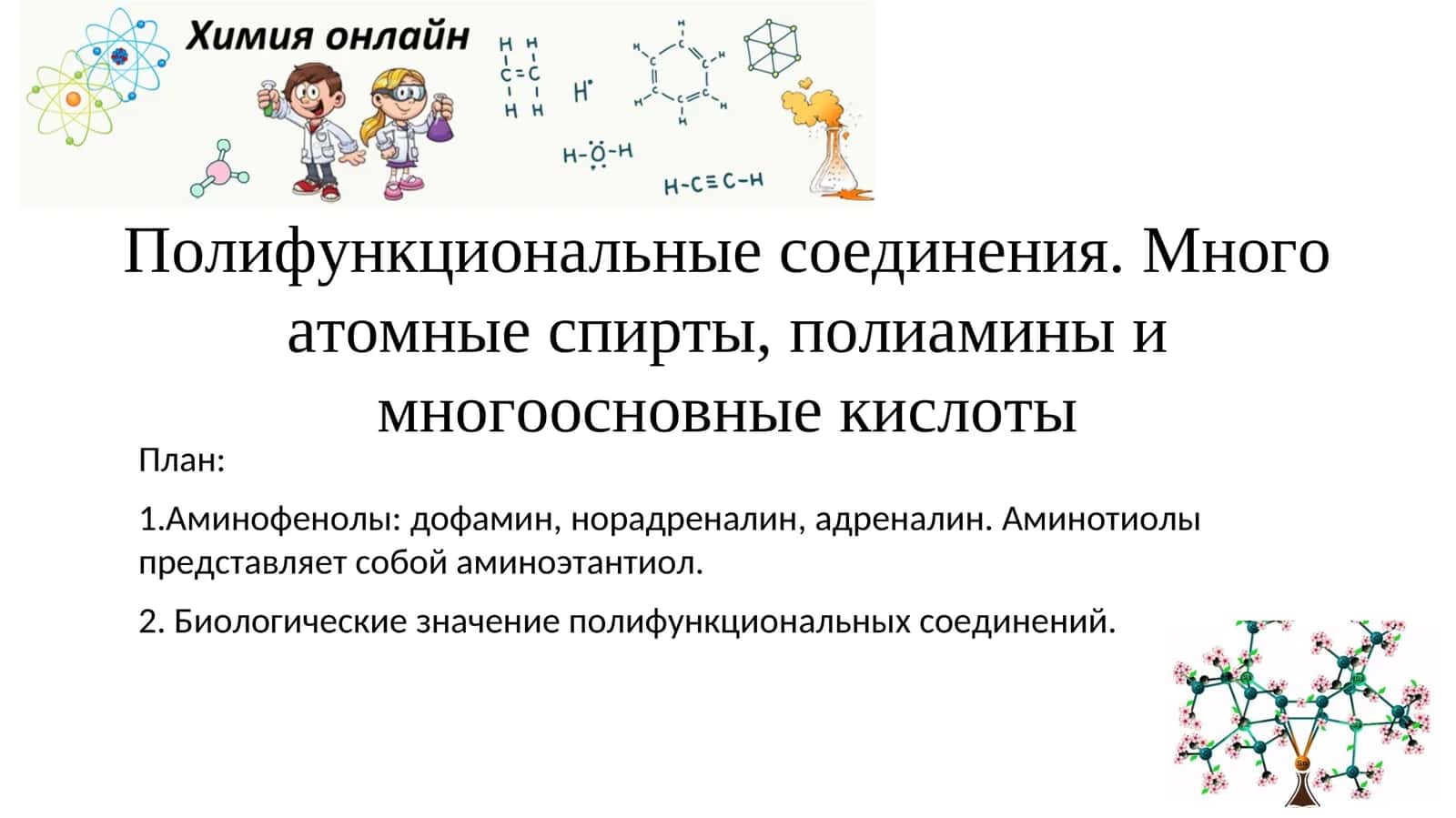 Полифункциональные соединения. Много атомные спирты, полиамины и многоосновные кислоты 1