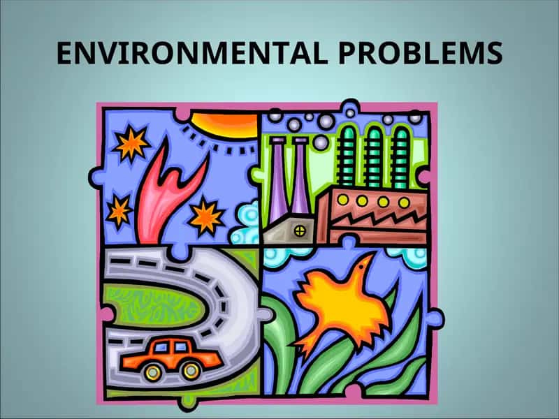 ENVIRONMENTAL PROBLEMS 1